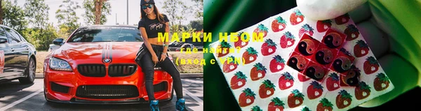 индика Верхнеуральск