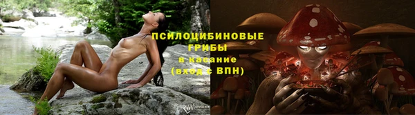 индика Верхнеуральск
