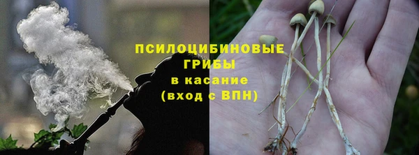 мдпв Волоколамск