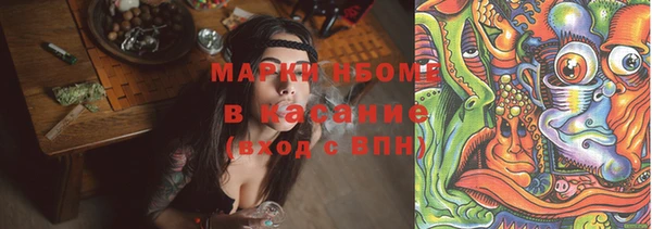 индика Верхнеуральск
