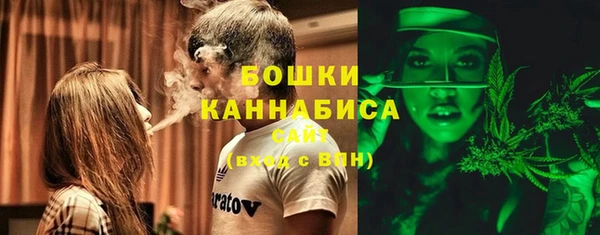 ГАЛЛЮЦИНОГЕННЫЕ ГРИБЫ Верхний Тагил