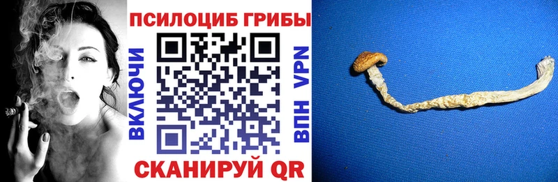 Галлюциногенные грибы мухоморы  гидра зеркало  Вязники 